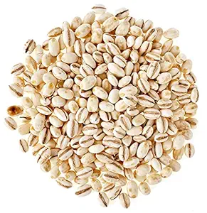 Barley seeds supplier in India